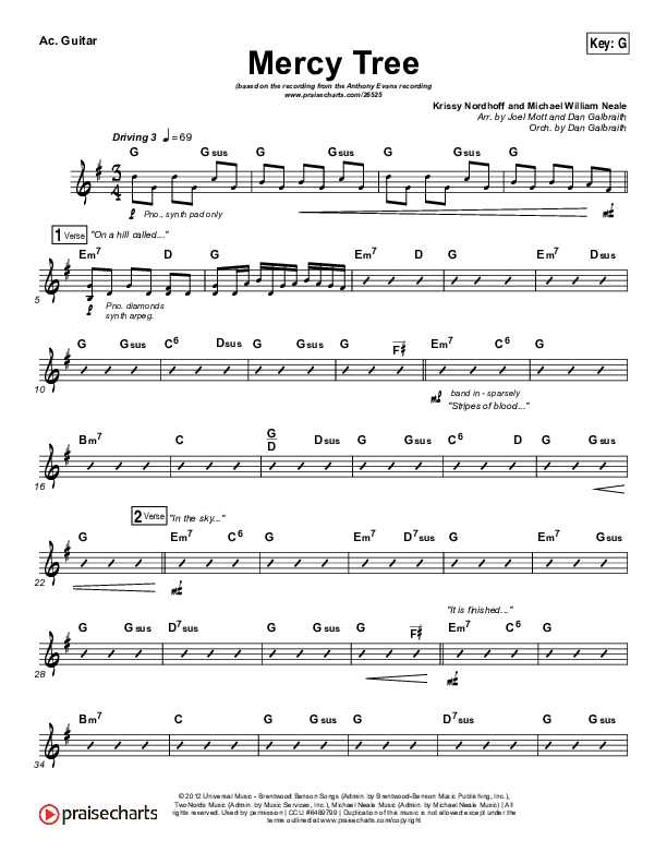 Mercy Tree Acoustic Guitar (Anthony Evans)