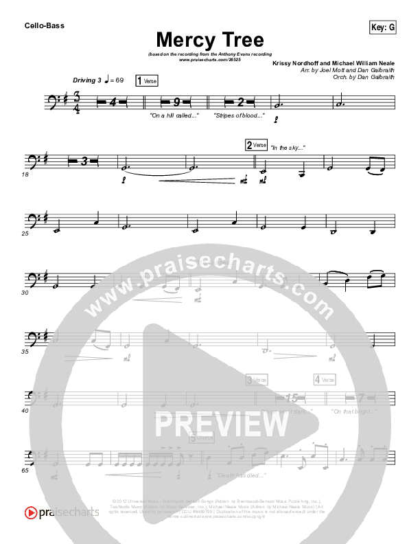 Mercy Tree Cello/Bass (Anthony Evans)