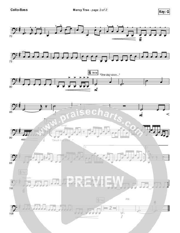 Mercy Tree Cello/Bass (Anthony Evans)