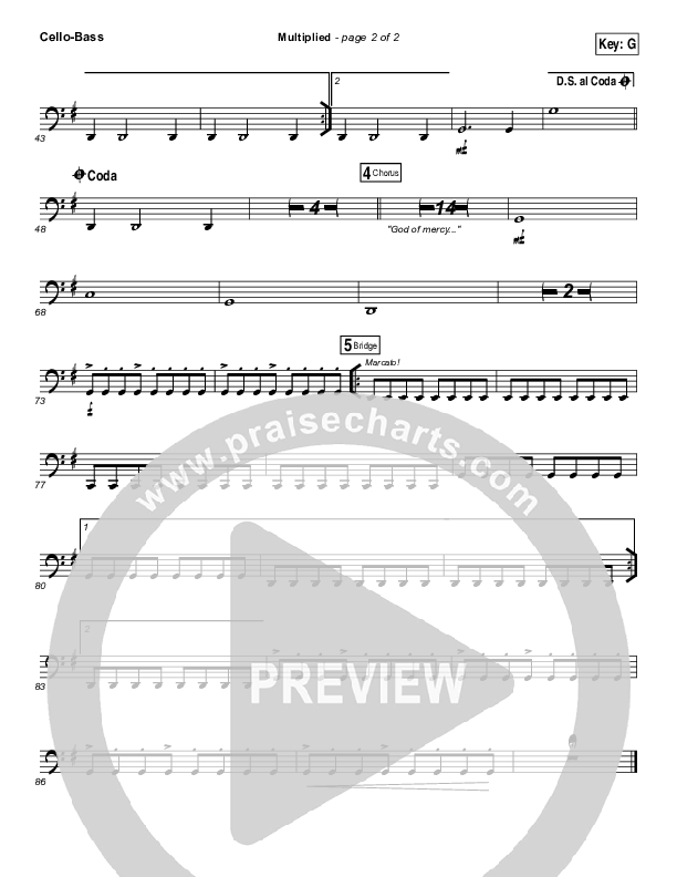 Multiplied Cello/Bass (Steve Fee / North Point Worship)