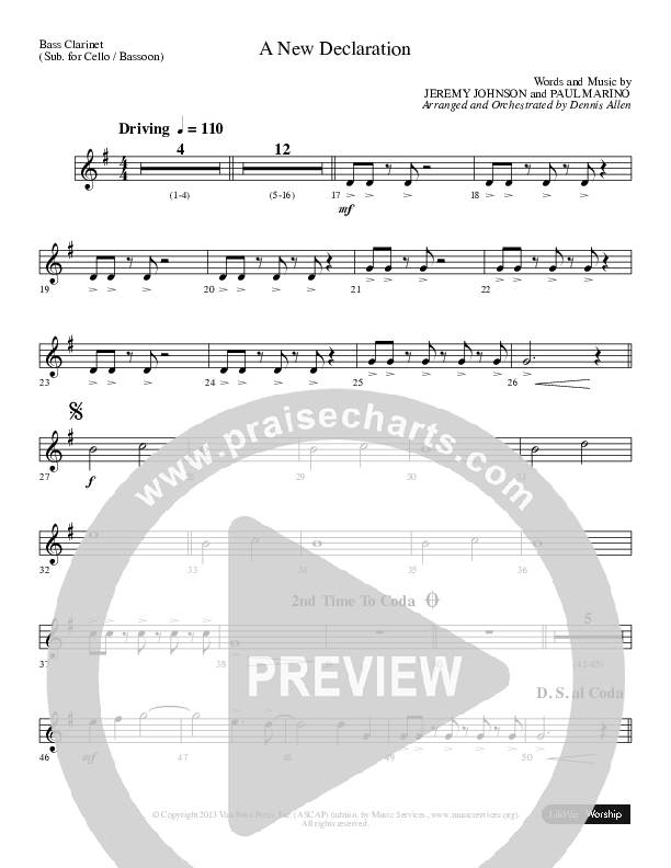 A New Declaration Bass Clarinet (Dennis And Nan Allen)