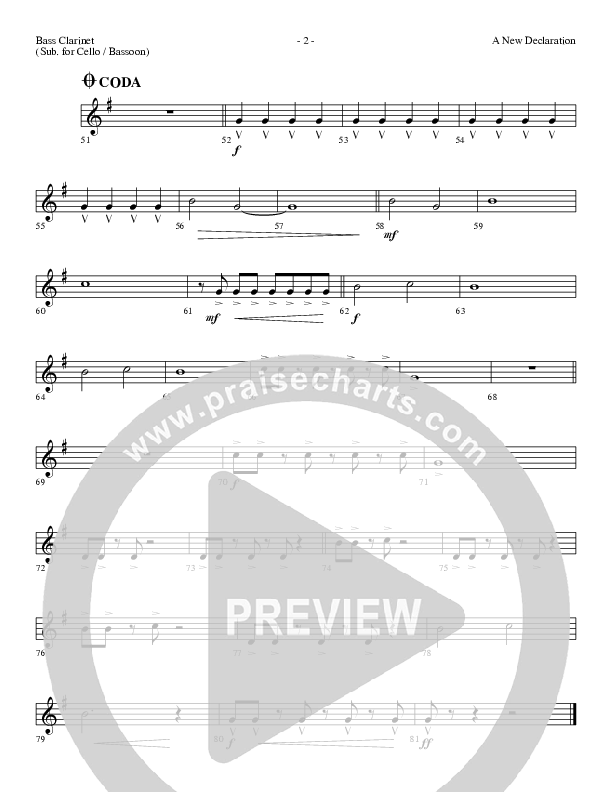 A New Declaration Bass Clarinet (Dennis And Nan Allen)