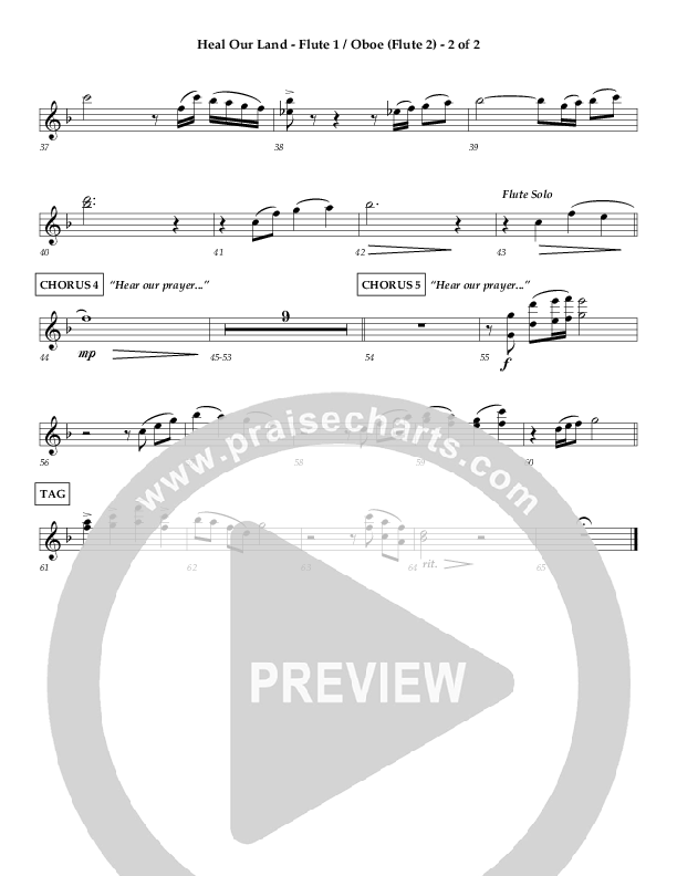 Heal Our Land Flute/Oboe (Wayne Watson)