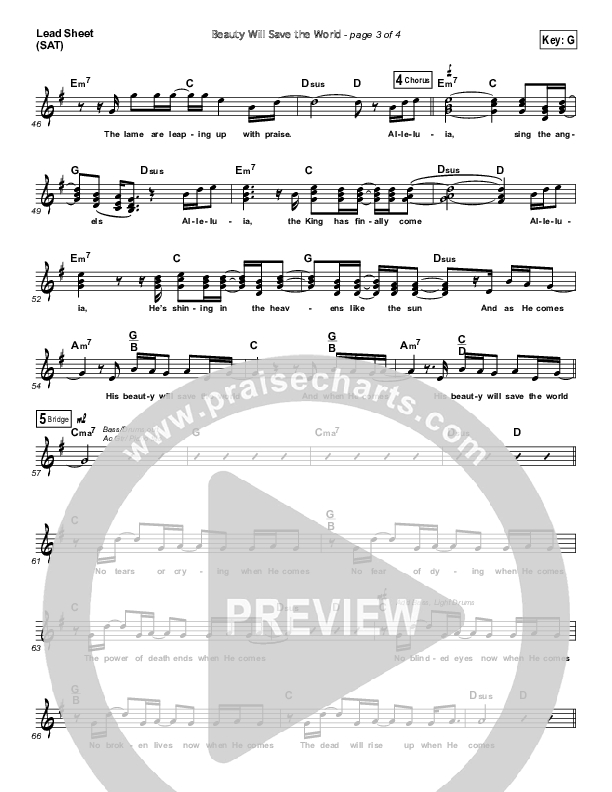 Beauty Will Save The World Lead Sheet (John Chisum)