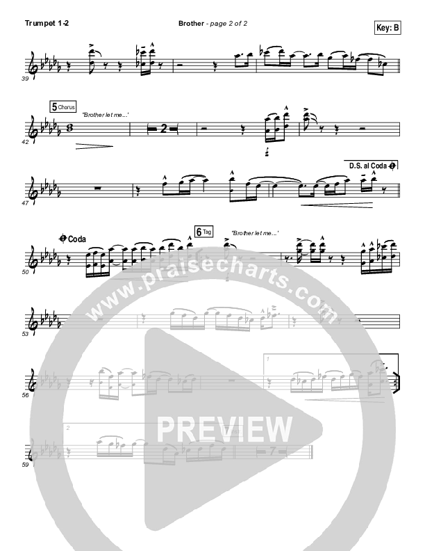 Brother Trumpet 1,2 (Needtobreathe)