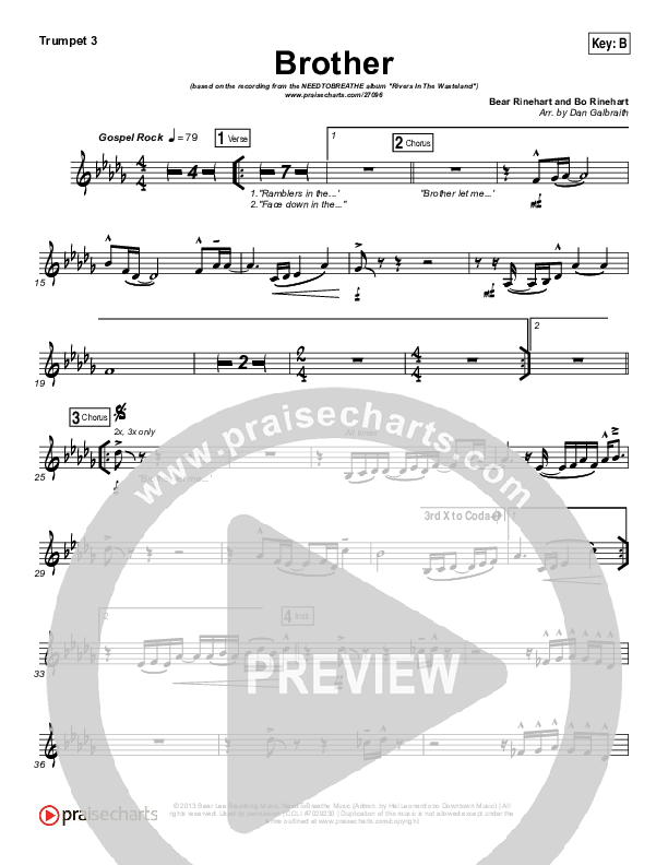 Brother Trumpet 3 (Needtobreathe)