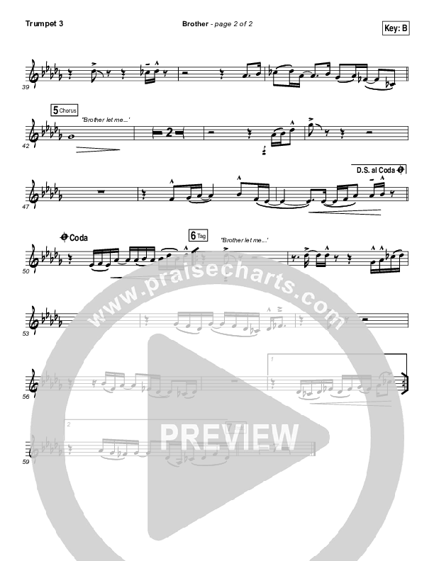 Brother Trumpet 3 (Needtobreathe)