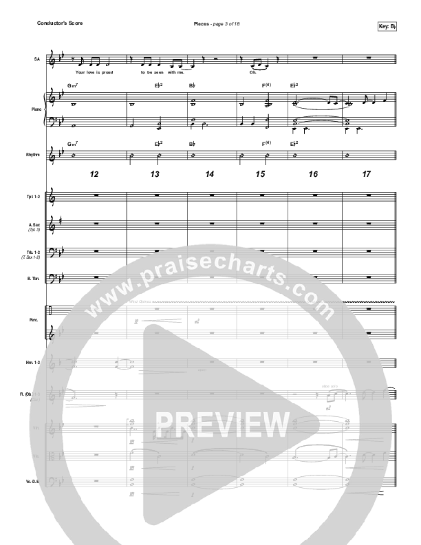 Pieces Conductor's Score (Amanda Lindsey Cook)