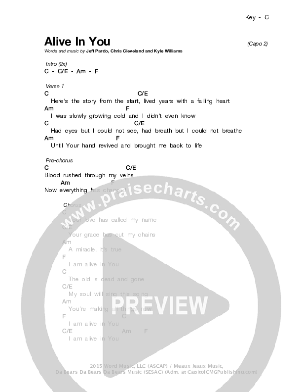 Alive In You Chords & Lyrics (Stars Go Dim)