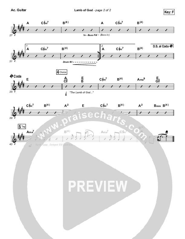 Lamb Of God Acoustic Guitar (Meredith Andrews)