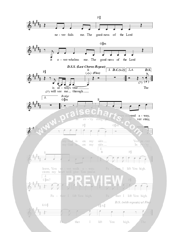 The Goodness Of The Lord Lead Sheet (Travis Ryan)