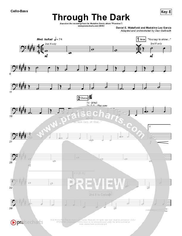 Through The Dark Cello/Bass (Madaline Garcia)