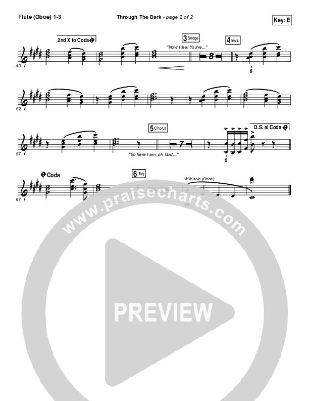 Through The Dark Flute/Oboe 1/2/3 (Madaline Garcia)