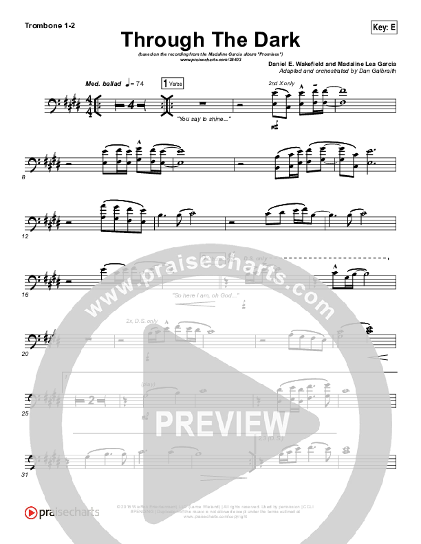 Through The Dark Trombone 1/2 (Madaline Garcia)