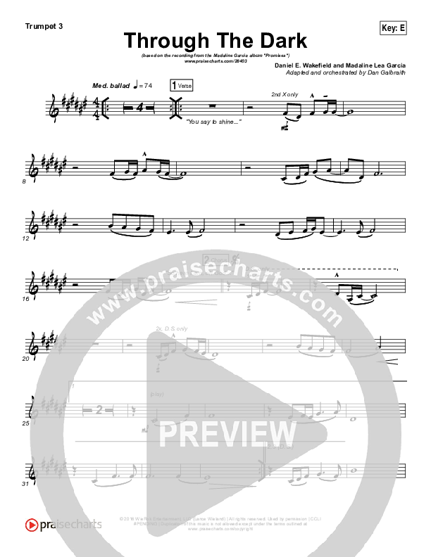 Through The Dark Trumpet 3 (Madaline Garcia)