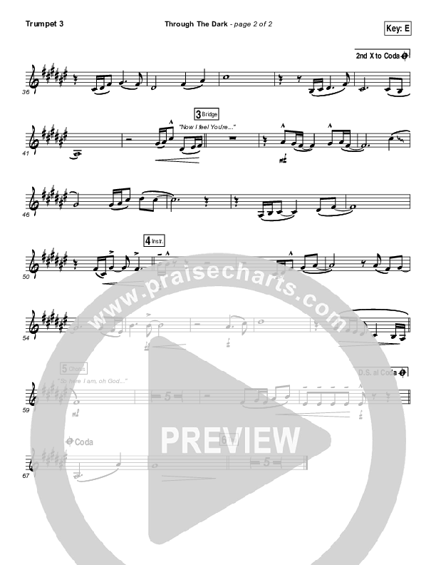 Through The Dark Trumpet 3 (Madaline Garcia)