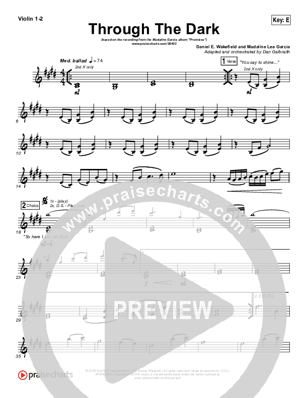 Through The Dark Violin 1/2 (Madaline Garcia)