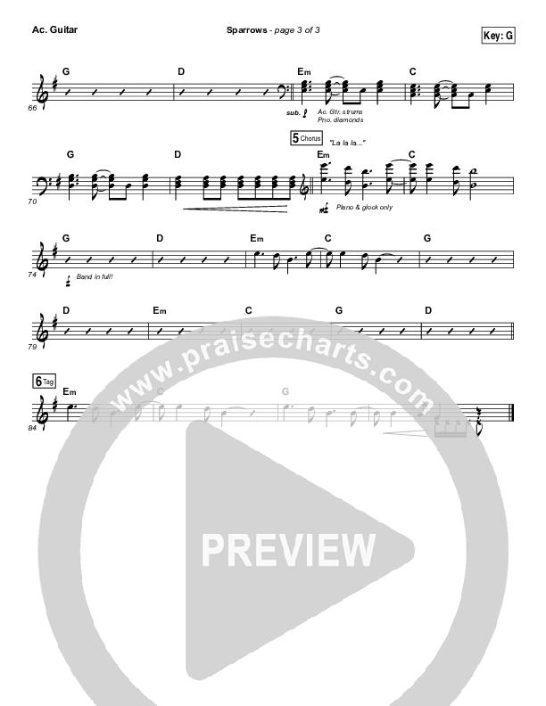 Sparrows Acoustic Guitar (Jason Gray)