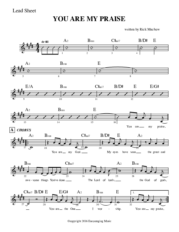 You Are My Praise Lead Sheet (Rick Muchow)