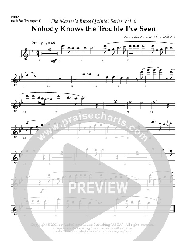 Nobody Knows (The Trouble I've Seen) (Instrumental) Flute (AnderKamp Music)