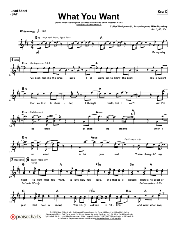 What You Want Lead Sheet (SAT) (Tenth Avenue North)