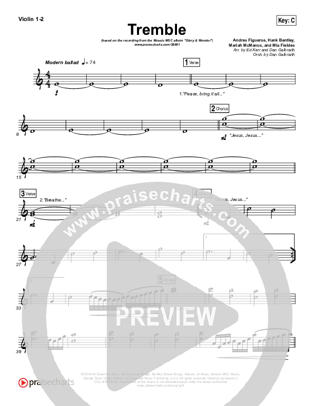 Tremble Violin 1/2 (Mosaic MSC)
