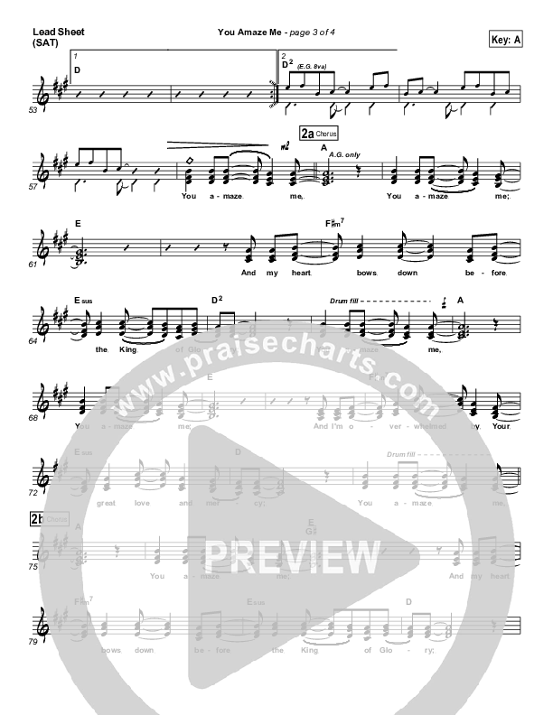 You Amaze Me Lead Sheet (Michael Neale)