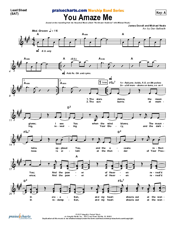 You Amaze Me Lead Sheet (SAT) (Michael Neale)