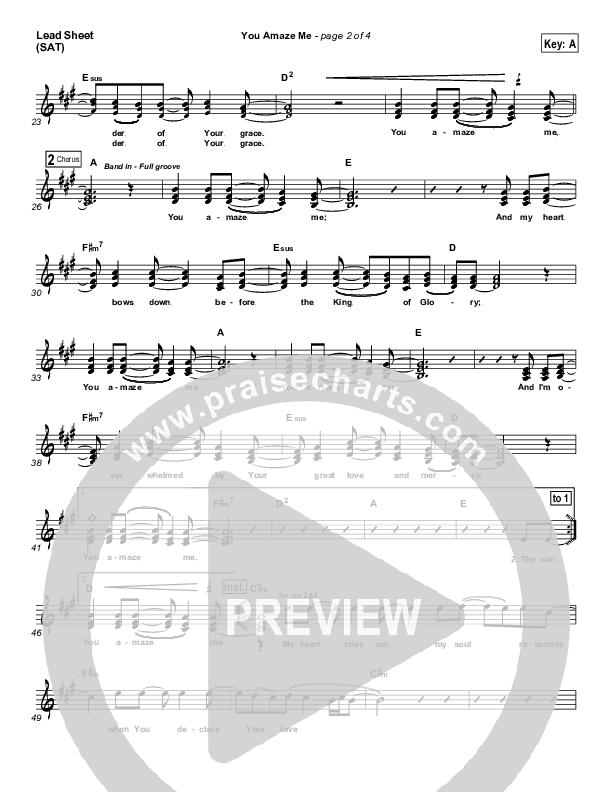You Amaze Me Lead Sheet (SAT) (Michael Neale)