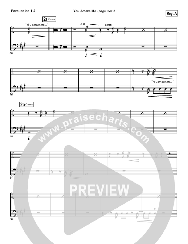 You Amaze Me Percussion (Michael Neale)