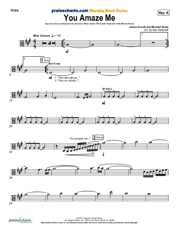 You Amaze Me Viola (Michael Neale)