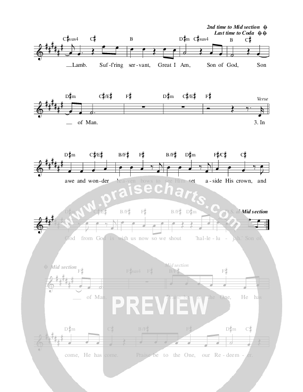 Son Of God Son Of Man Lead Sheet (Travis Ryan)