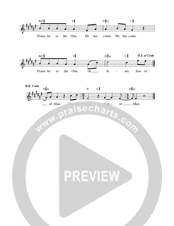 Son Of God Son Of Man Lead Sheet (Travis Ryan)