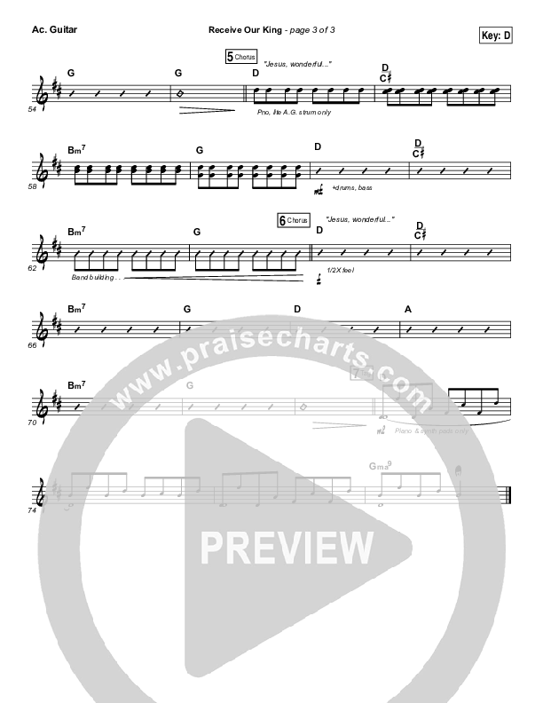 Receive Our King Acoustic Guitar (Meredith Andrews / Michael Weaver)