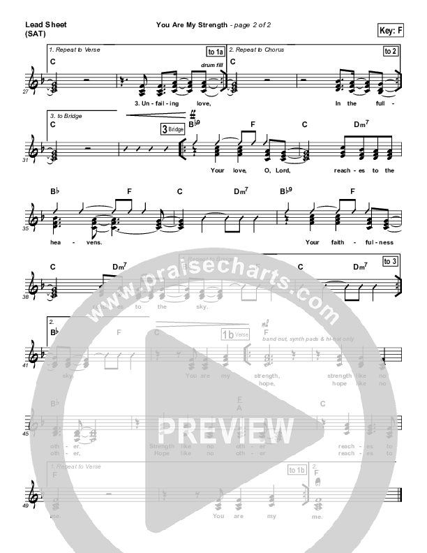 You Are My Strength Lead Sheet (Hillsong Worship)
