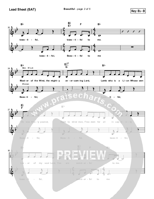 Beautiful Lead Sheet (Dennis Jernigan)