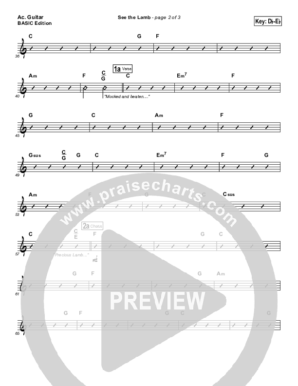 See the Lamb Acoustic Guitar (Dennis Jernigan)