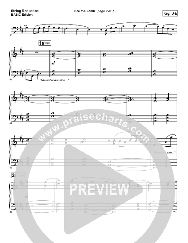 See the Lamb Synth Strings (Dennis Jernigan)