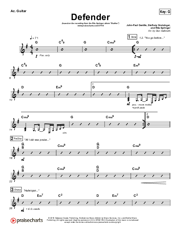 Defender Acoustic Guitar (Rita Springer)