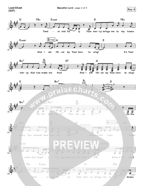 Beautiful Lord Lead Sheet (SAT) (Adie)