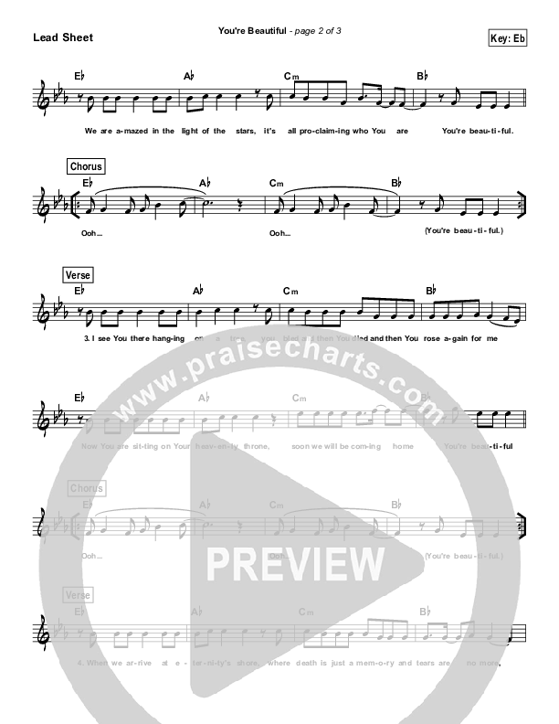 You're Beautiful (Simplified) Lead Sheet ()