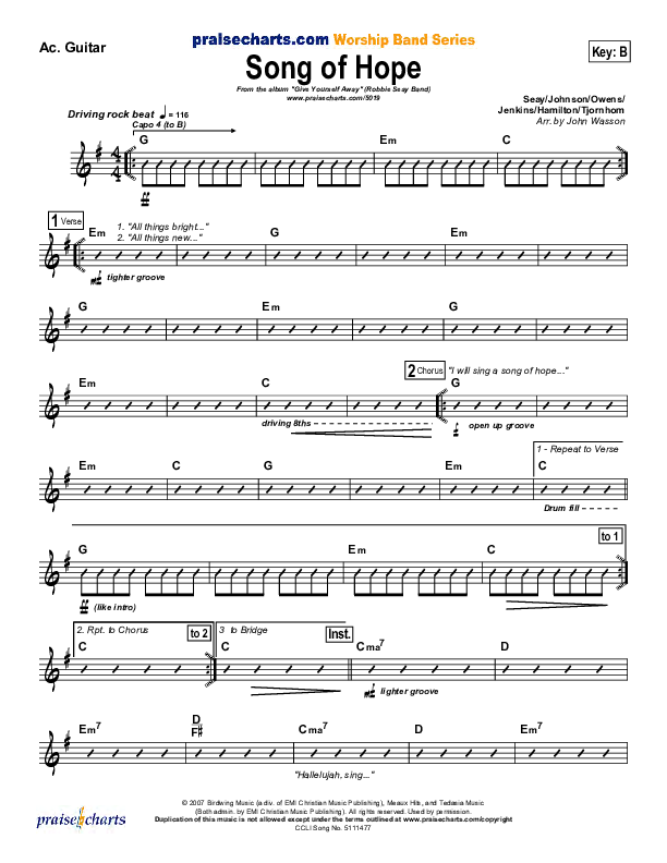 Song Of Hope Acoustic Guitar (Robbie Seay)