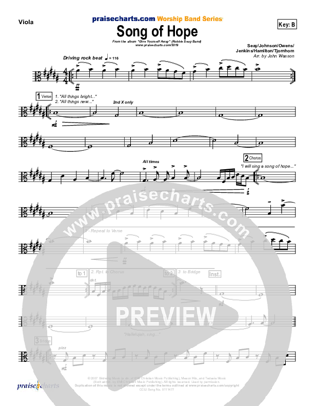 Song Of Hope Viola (Robbie Seay)