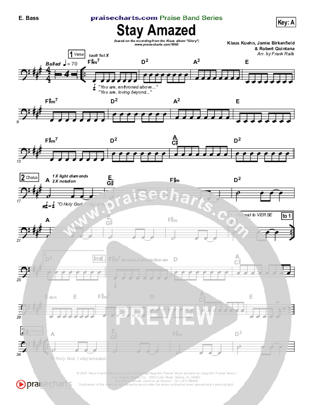 Stay Amazed Bass Guitar (Klaus)