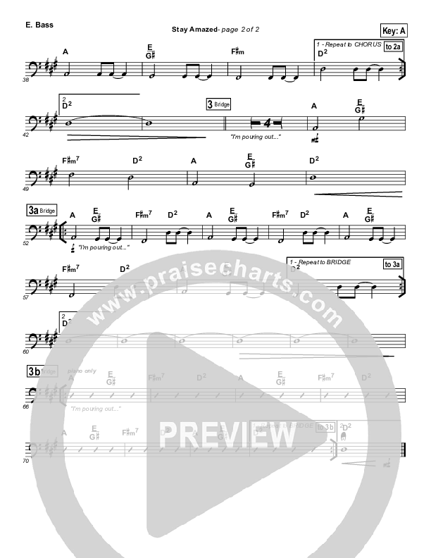 Stay Amazed Bass Guitar (Klaus)