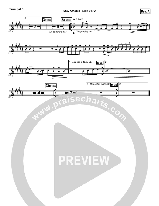 Stay Amazed Trumpet 3 (Klaus)