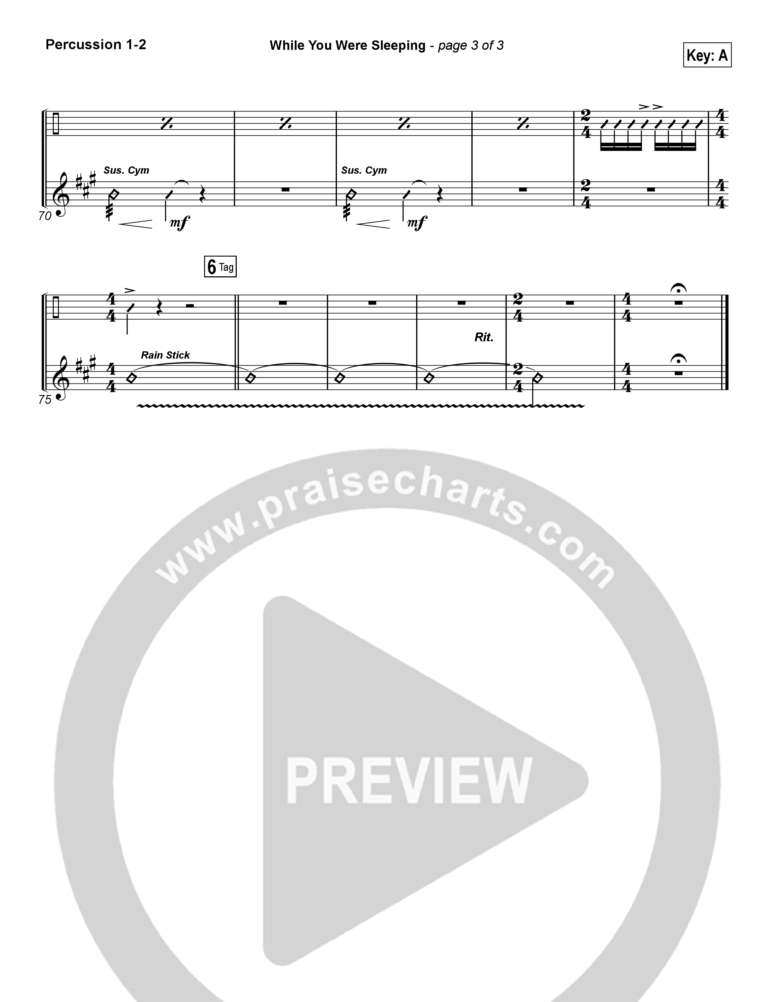 While You Were Sleeping (Christmas) Percussion 1/2 (Casting Crowns)