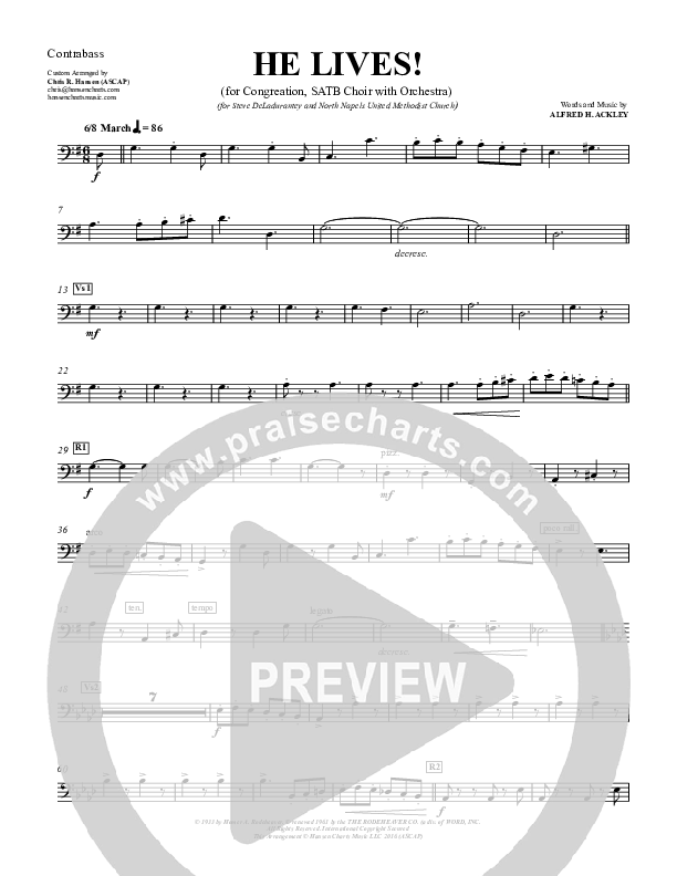 He Lives Contrabass (Chris Hansen)