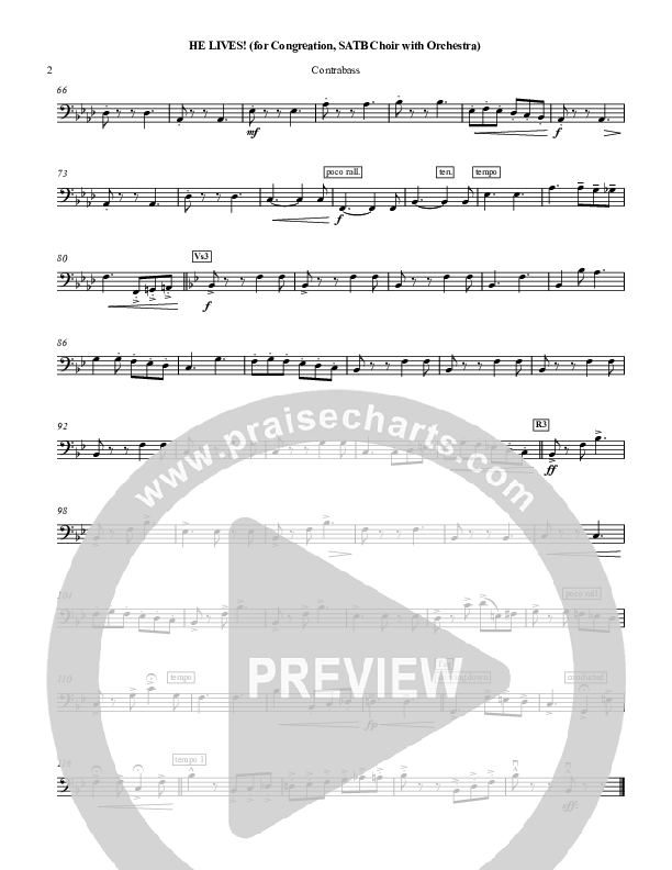 He Lives Contrabass (Chris Hansen)