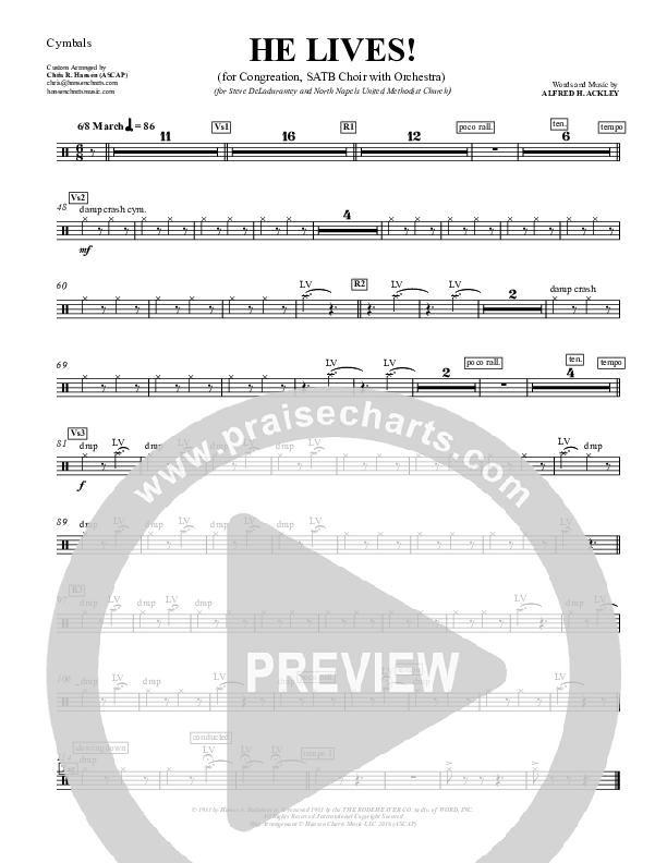 He Lives Cymbals (Chris Hansen)